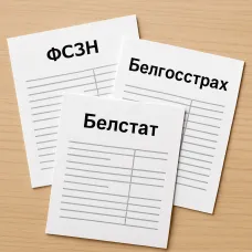 Составление и сдача отчетности в органы ФСЗН, Белгосстрах, Белстат
