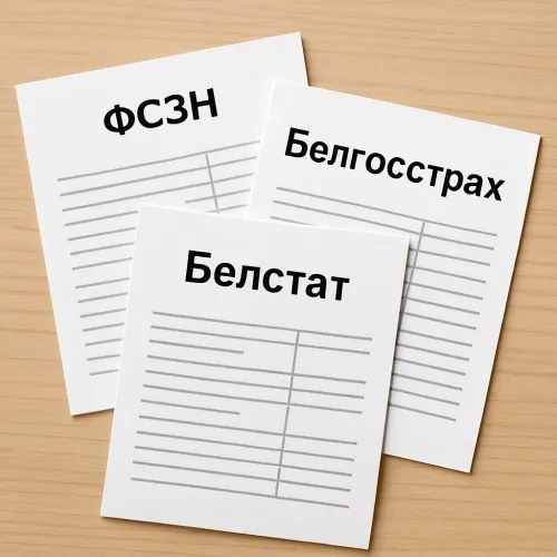 Составление и сдача отчетности в органы ФСЗН, Белгосстрах, Белстат